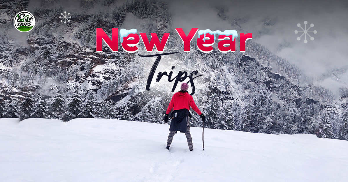 New Year tour package